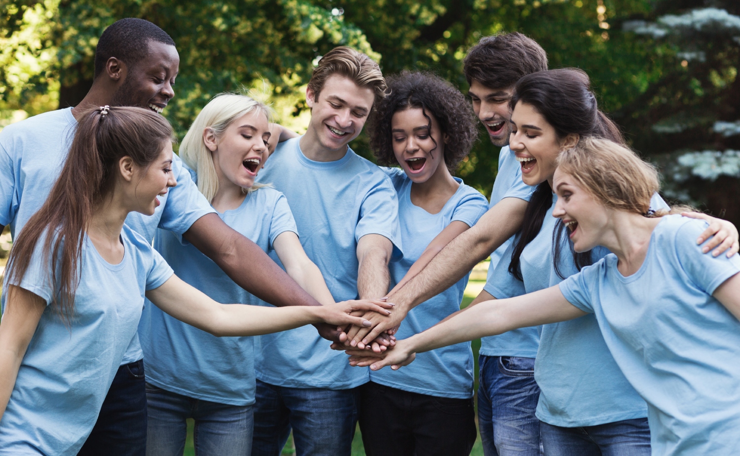 Nonprofitsbanner
